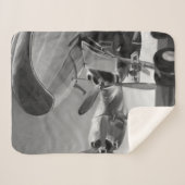 航空アイコン シェルパブランケット (正面(横))