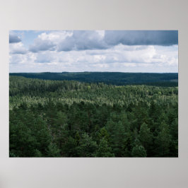 航空写真 グリーン ノルディック フォレスト 自然 風景 ポスター