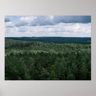 航空写真 グリーン ノルディック フォレスト 自然 風景 ポスター