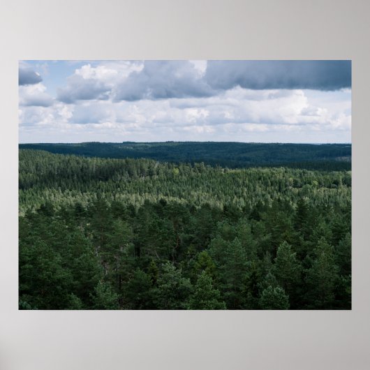 航空写真 グリーン ノルディック フォレスト 自然 風景 ポスター (正面)