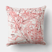 航空図 クッション (裏面)