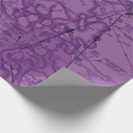 航空図 ラッピングペーパー
