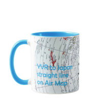 航空地図