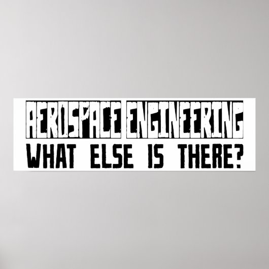 航空宇宙エンジニアリング他に何がある？ ポスター (正面)