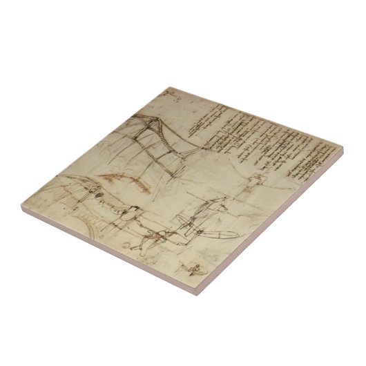 航空機のためのレオナルドda Vinci-のデザイン タイル (側面)