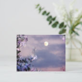 航空機のギフト ポストカード (スタンド正面)