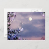 航空機のギフト ポストカード (正面/裏面)