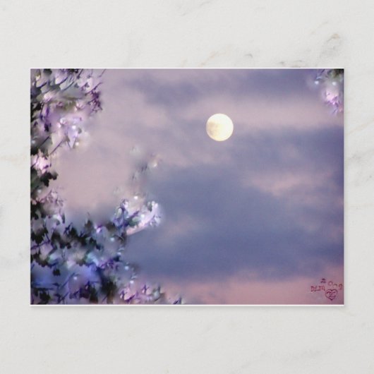 航空機のギフト ポストカード (正面)