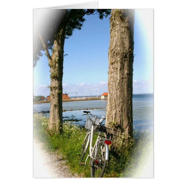 航空機のバイク (正面)