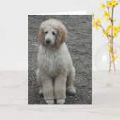 航空機の7 カード (黄色い花)