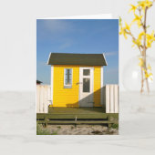 航空機ビーチ小屋 カード (黄色い花)