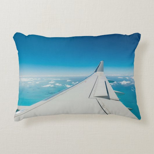 航空機乱流翼 アクセントクッション (正面)