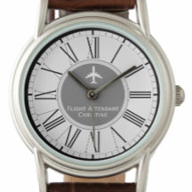 航空機付き添い人車室乗務員