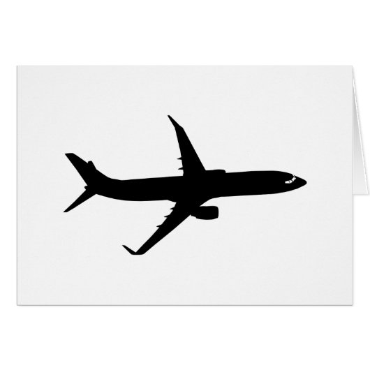 航空機用ジェットライナーブラックフライトカカスタマイズラー (正面横)