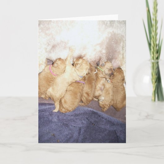 航空機10 カード (正面)