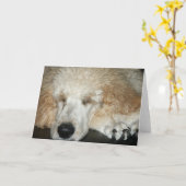 航空機2 カード (黄色い花)