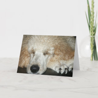 航空機2 カード