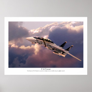 航空芸術ポスター「F-14 Tomcat」 ポスター