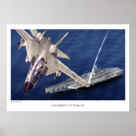 航空芸術ポスター「F-14 Tomcat」 ポスター