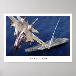 航空芸術ポスター「F-14 Tomcat」 ポスター
