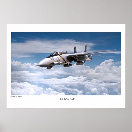 航空芸術ポスター「F-14 Tomcat」 ポスター (正面)