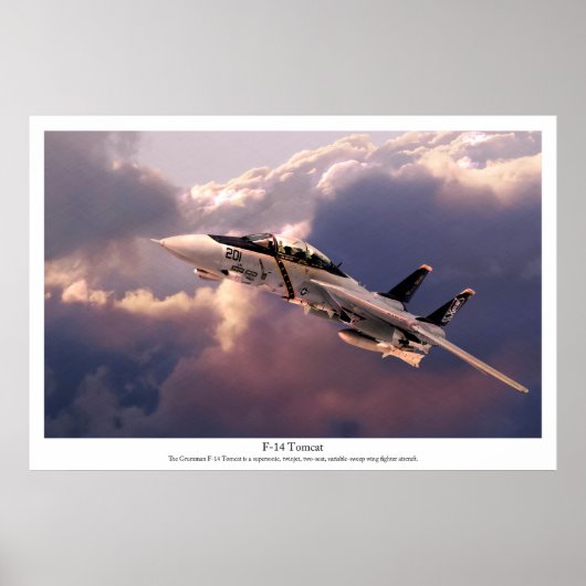 航空芸術ポスター「F-14 Tomcat」 ポスター (正面)