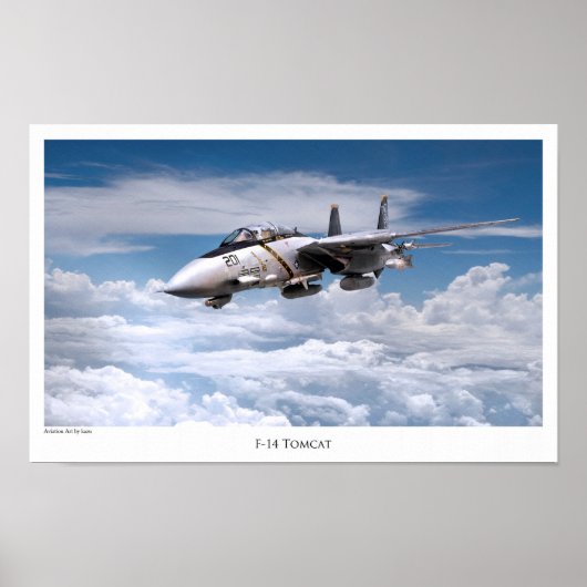 航空芸術ポスター「F-14 Tomcat」 ポスター (正面)