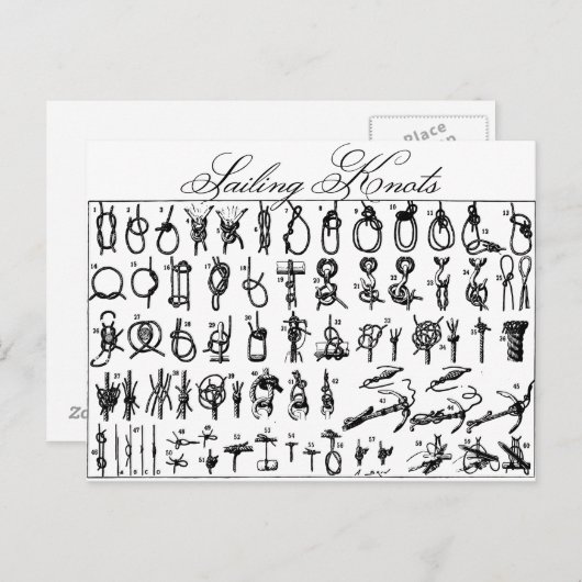 航行の結び目 ポストカード (正面/裏面)