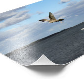 航行中のカモメ フォトプリント            (角)