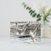 航行中のカモメ ポストカード (スタンド正面)