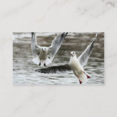 航行中のシーグル 名刺 (裏面)