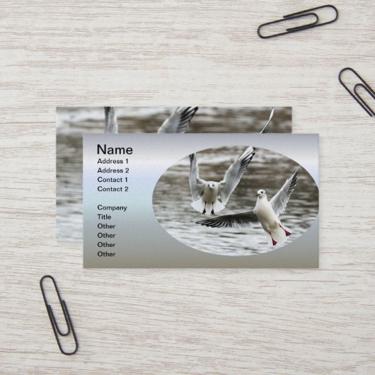 航行中のシーグル 名刺 (正面/裏面インサイチュ)