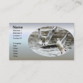 航行中のシーグル 名刺 (正面)