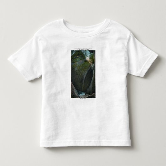 船のホールの眺め、造岩 トドラーTシャツ (正面)
