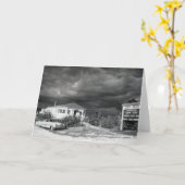 船アホイバー、マルコ島、フロリダ州、1960年代 カード (黄色い花)