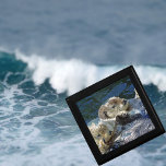 船乗り ギフトボックス<br><div class="desc">ニューフォレストの写真による海のカワウソの写真</div>
