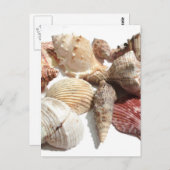 船便はがき ポストカード (正面/裏面)