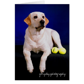 船員のスタジオ、glorydaysphotography