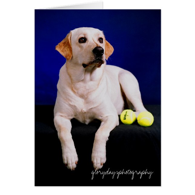 船員のスタジオ、glorydaysphotography (正面)