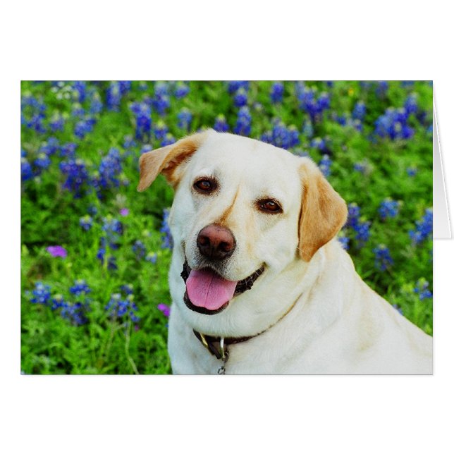 船員の青 (正面横)