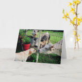 船員及び友達 カード (黄色い花)