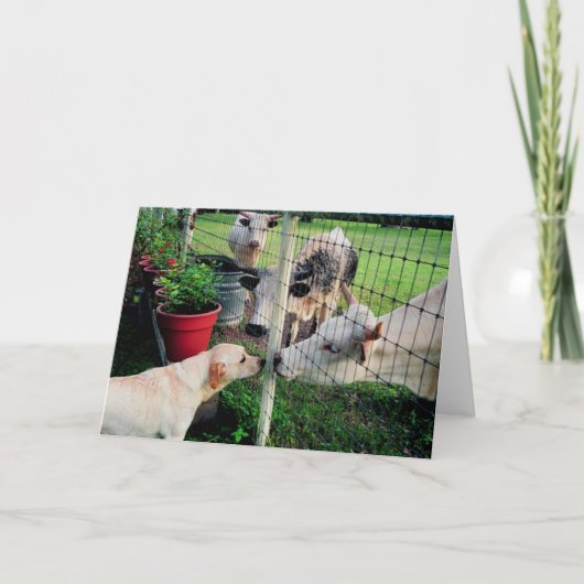 船員及び友達 カード (正面)