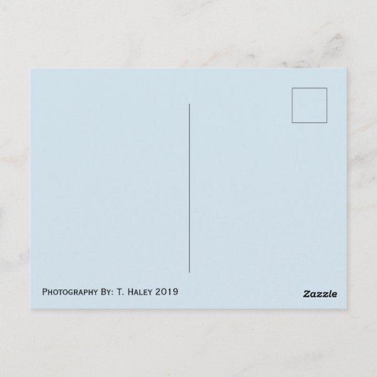 船航海の船タコマ・ワシントンはがき ポストカード (裏面)