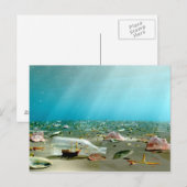 船舶内ボトル難破葉書 ポストカード (正面/裏面)