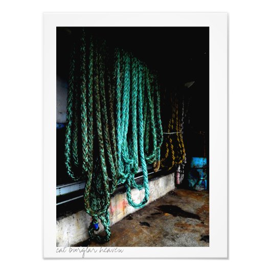 船舶索 フォトプリント            (正面)