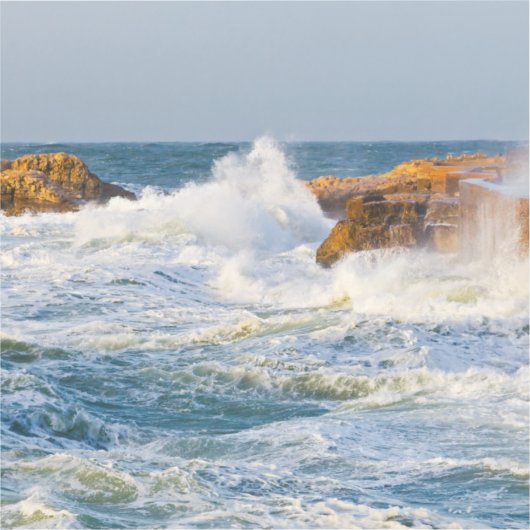 船酔い シール (正面)