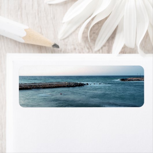 船酔い ラベル (インサイチュ)