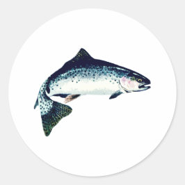 船頭スイミング ラウンドシール