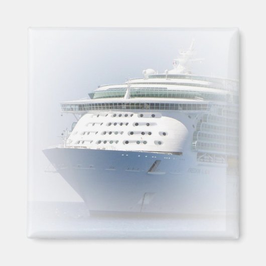 船首マグネット マグネット (正面)