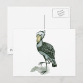 船首 ポストカード (正面/裏面)